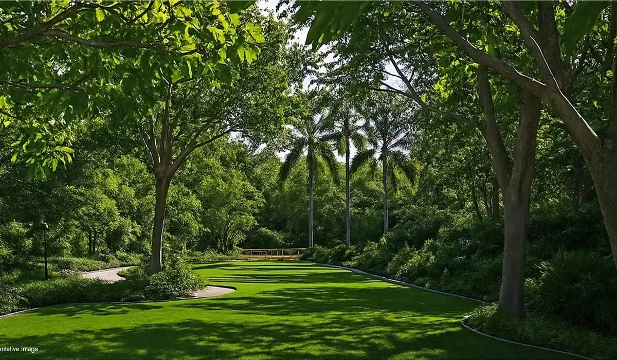 Lodha Hopefarm Whitefield central greens — illustrative concept